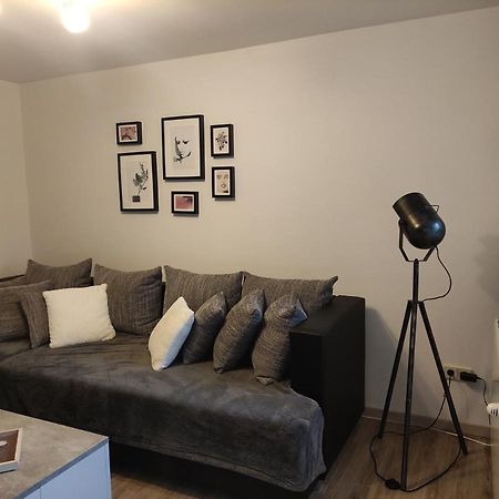 Zum Buchenblick Apartment Sankt Wendel Exterior photo